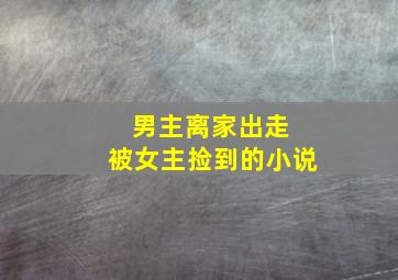 男主离家出走 被女主捡到的小说